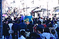 Xm[bc1